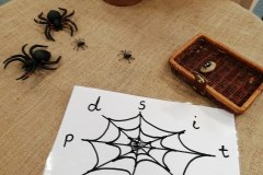 Spider-web-reading